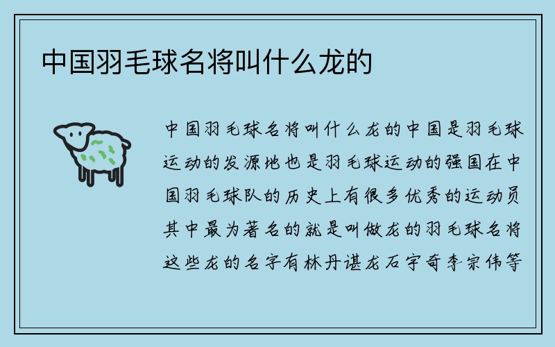 中国羽毛球名将叫什么龙的