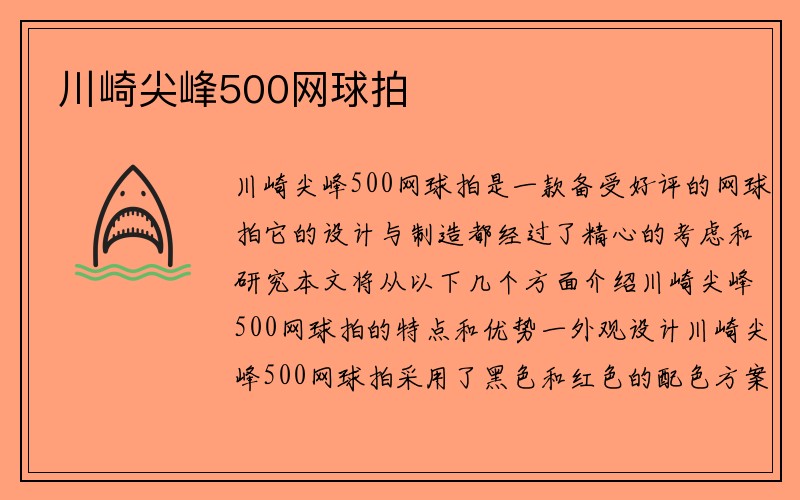 川崎尖峰500网球拍