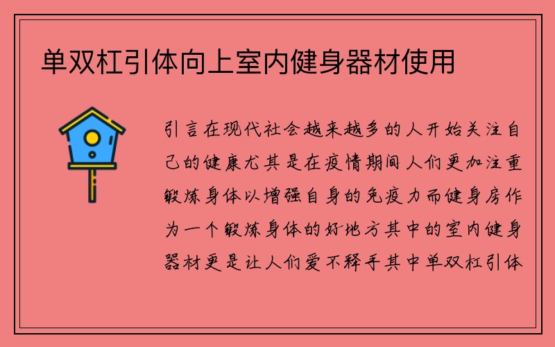 单双杠引体向上室内健身器材使用