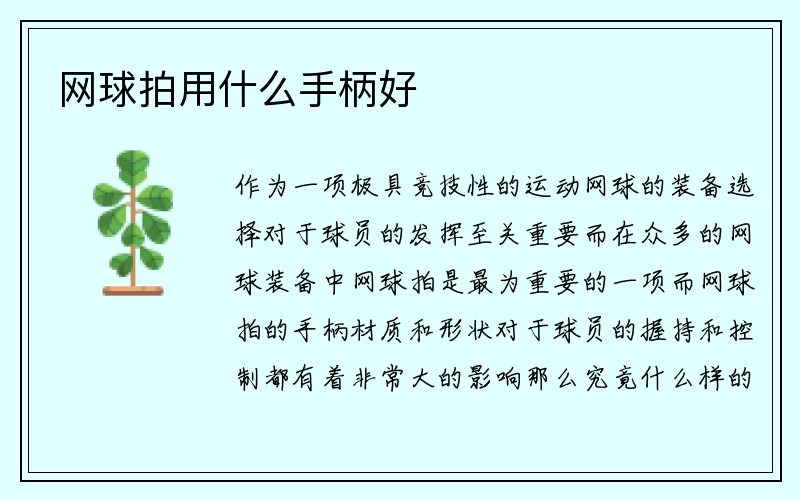 网球拍用什么手柄好