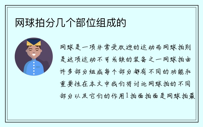 网球拍分几个部位组成的